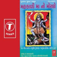 Halo Halo Pavagadh Jaie Meena Patel,Raghuvir Kunchala,Aruna Dhakecha Song Download Mp3