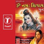 Om Namah Shivay Dhun Anuradha Paudwal Song Download Mp3