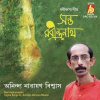 Protidin Ami Hey Jibonswami Anindya Narayan Biswas Song Download Mp3