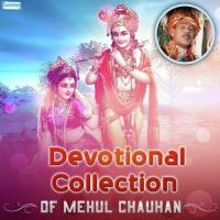 Om Jay Jay Dashama (From "Maa Dasha Maa") Mehul Chauhan,Sulochana Vyas Song Download Mp3