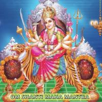 Anam Om Veda Bramha Nagaraj,Madhu Song Download Mp3