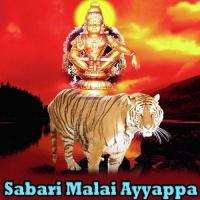 Shri Venkat Putturu Narismha Naik Song Download Mp3