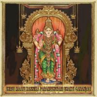 Devi Kusuma Putturu Narismha Naik Song Download Mp3