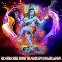 Swami Deeparati Sindhu N. Song Download Mp3