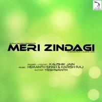 Meri Zindagi Kaushik Jain Song Download Mp3