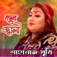 Bondhur Jala Shahanaz Sumi Song Download Mp3