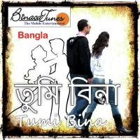 Tumi Bina Din Surojit Song Download Mp3