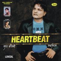 Jawani Lovedil Song Download Mp3