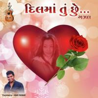 Tu To Suku Ne Lilu Re Jhad Rishabh Mehta,Gayatri Bhatt Song Download Mp3