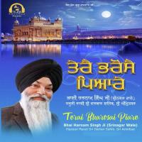 Gopal Tera Arata Bhai Harnam Singh Ji (Srinagar Wale) Song Download Mp3