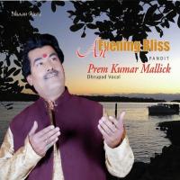 Raga Shankara Sooltaal Pandit Prem Kumar Mallick Song Download Mp3