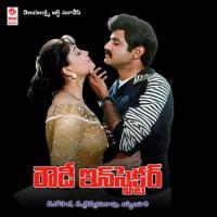 Neelala Ningi Needallo S.P. Balasubrahmanyam,K. S. Chithra Song Download Mp3