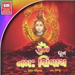 Om Namah Shivay (Dhoon) Hemant Chauhan Song Download Mp3