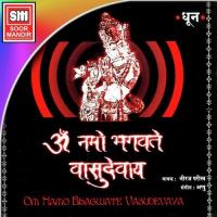 Om Namo Bhagwate Vasudevay Neeraj Parikh Song Download Mp3