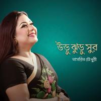 Ami Ar Koto Pari Bolo Nasrin Chowdhury Song Download Mp3