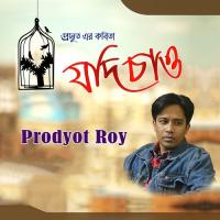 Jharu Cheno Prodyot Roy Song Download Mp3