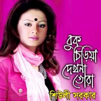 O Sathire Ar Koto Dukkho Sheuli Sorkar Song Download Mp3