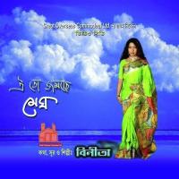 Tomar Jonno Akul Binita Song Download Mp3