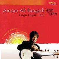 Raga Gujari Todi - 2 Gats In Teentaal Amaan Ali Bangash Song Download Mp3