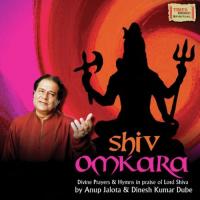 Om Jaygangadhar Jay Har Anup Jalota Song Download Mp3