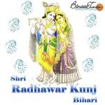 Shri Radhawar Kunj Bihari Mridul Krishna Shastri Song Download Mp3