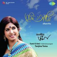 Ami Rupe Tomay Bholabo Na Tanjina Toma Song Download Mp3