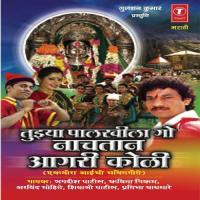 Saat Jani Bayani Nighalya Pratibha Waghmare Song Download Mp3