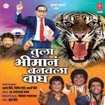 Puja Ga Bhimai Aani Ramai Anand Shinde Song Download Mp3