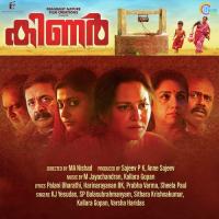 Alakkuvanaakumoo (Male Version) Kallara Gopan Song Download Mp3