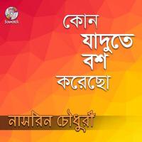 Tomar Bari Nasrin Chowdhury Song Download Mp3