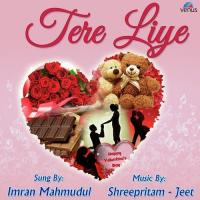 Tere Liye Imran Mahmudul Song Download Mp3