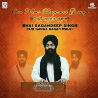 Mann Ek Na Chetas Mudd Manaa Bhai Gagandeep Singh Song Download Mp3