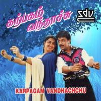 Ponnu Ninaichcha S.P. Balasubrahmanyam,Swarnalatha,Suja,Radhakrishnan Song Download Mp3