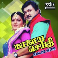 Mandhiram Chonnadhu S.P. Balasubrahmanyam,K. S. Chithra Song Download Mp3