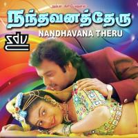 Nadukkudhu Nandhavanam Mano,Viji Song Download Mp3