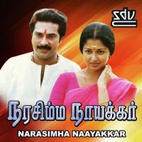 Mani Manthiram K. S. Chithra Song Download Mp3