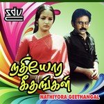 Chittaana Kutti S.P. Balasubrahmanyam,K. S. Chithra Song Download Mp3