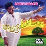 Chinna Kanmanikkulea S.P. Balasubrahmanyam,Sunandha Song Download Mp3