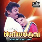 Ellarukkum Nalla P. Jayachandaran Song Download Mp3