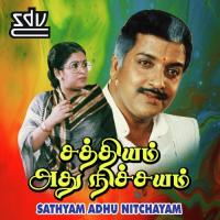 Ammaadi Arumozhi,Swarnalatha Song Download Mp3