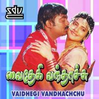 Yei Oru Thanga Kudam Gangai Amaran,S. Janaki Song Download Mp3