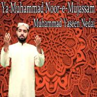 Tajalliyat Ka Gulzar Muhammad Yaseen Nedai Song Download Mp3