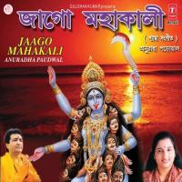 Moner Ghare Rakhbo Bendha Anuradha Paudwal Song Download Mp3