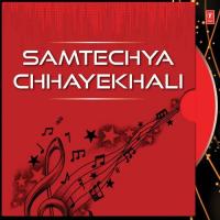 Tujhya Navaat Navaat Kavita Krishnamurthy Song Download Mp3