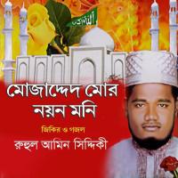 Papi Tapi Utarete Ruhul Amin Song Download Mp3