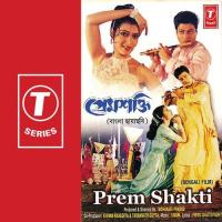 Bansi Te Sadhana Sargam,Udit Narayan Song Download Mp3