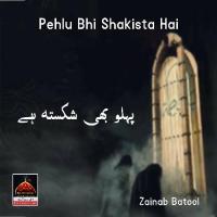 Pehlu Bhi Shakista Hai Zainab Batool,Ali Haider Raza Song Download Mp3