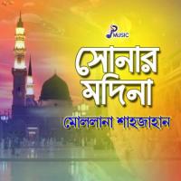 Kemne Paibo Tomay Maolana Shahjahan Song Download Mp3