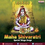 Rudram (From "Rudra Parayanam") Hari Achuta Rama Sastry Song Download Mp3