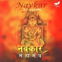 Saraswati Vandana & Saraswati Gayatri Ritesh - Rajneesh Mishra,Pandit Raghunandan Panshikar Song Download Mp3